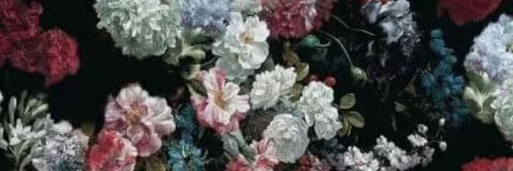 flowers4death's profile banner image