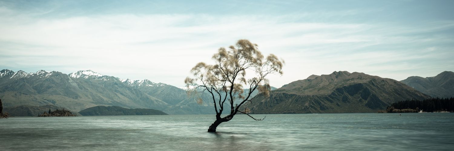 eitneshm9's profile banner image
