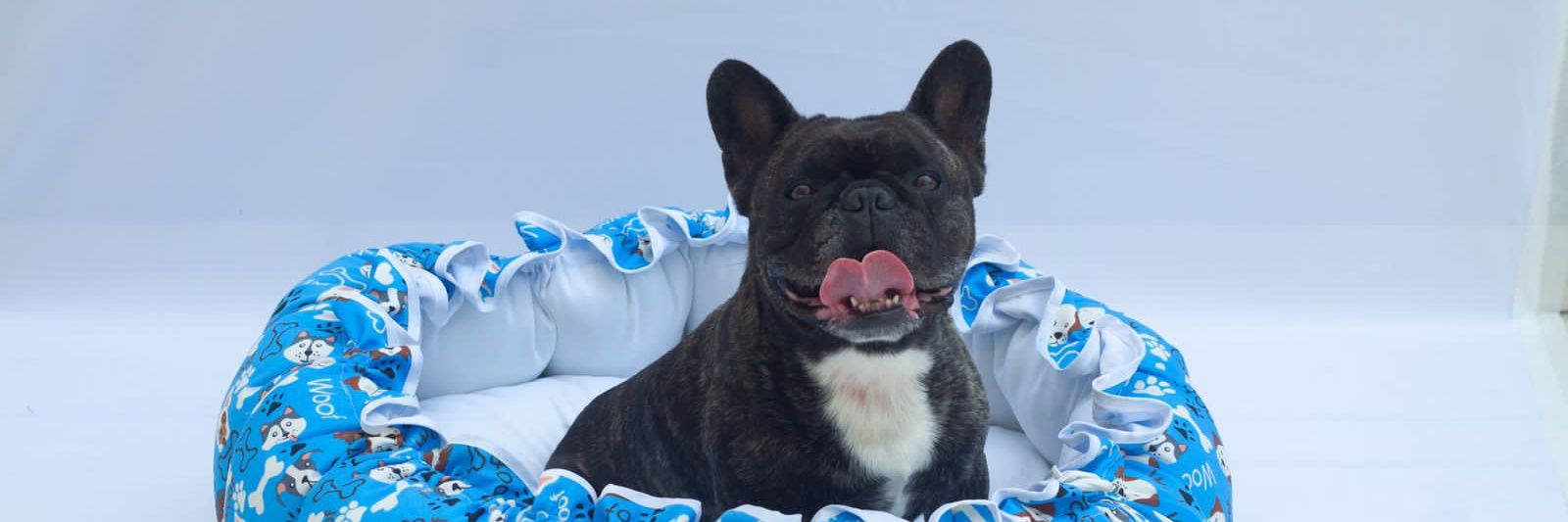 donadachoices's profile banner image