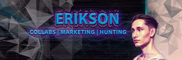 eriksonBTC Profile Banner