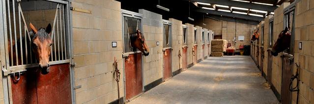 NorthFarmStud's profile banner image
