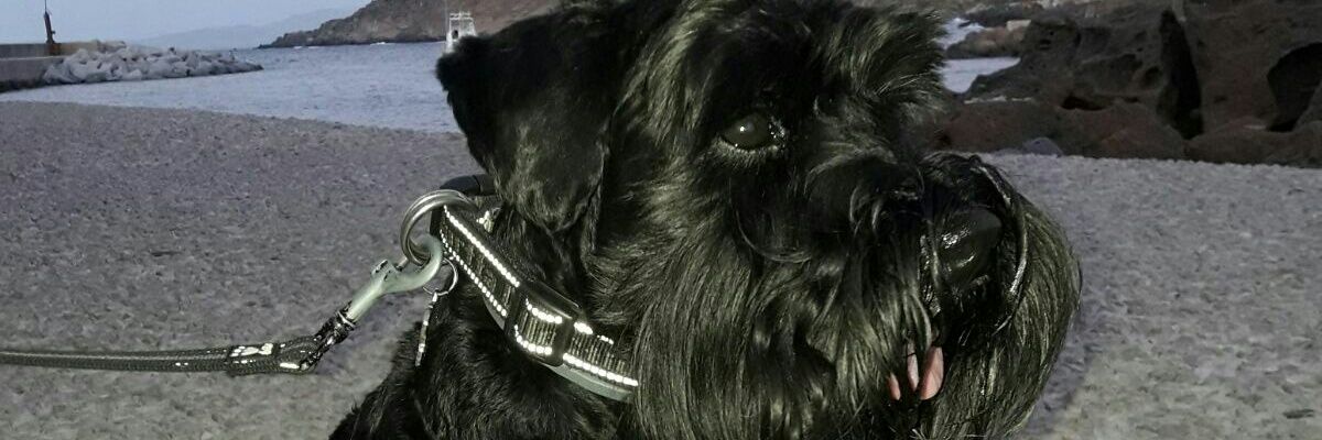 IgnazioVir's profile banner image