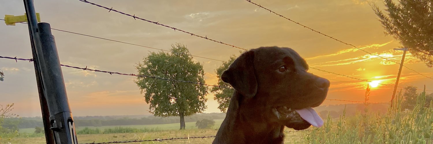 collins_gus's profile banner image