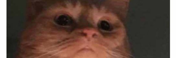 Roger34304141 Profile Banner