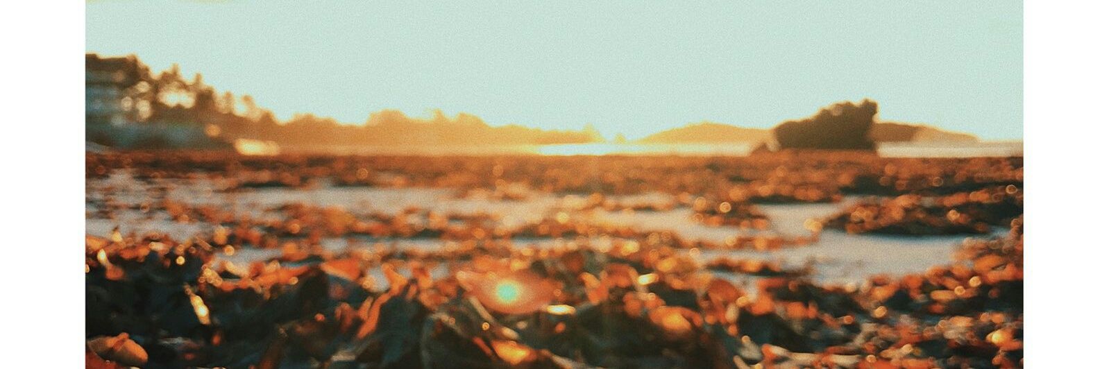 _Nyawi_'s profile banner image