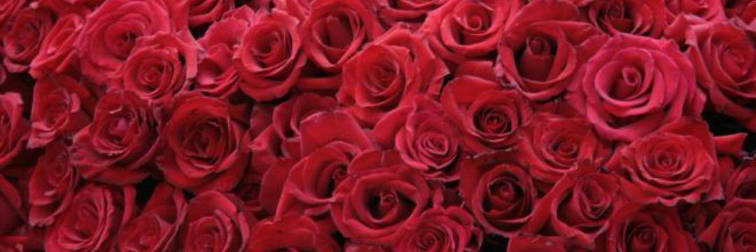 abc6621's profile banner image