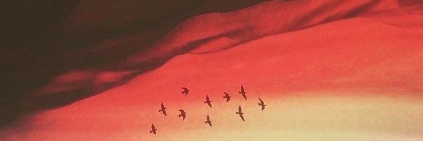 Alyashkevic's profile banner image