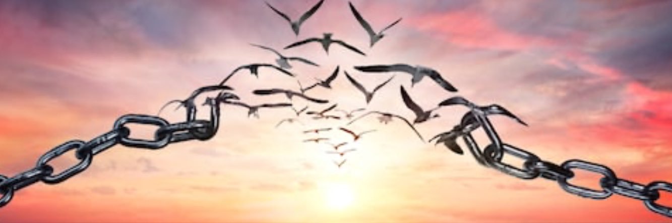 Saeed Masouri/سعید ماسوری banner