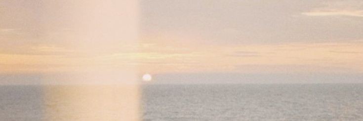 brie banner