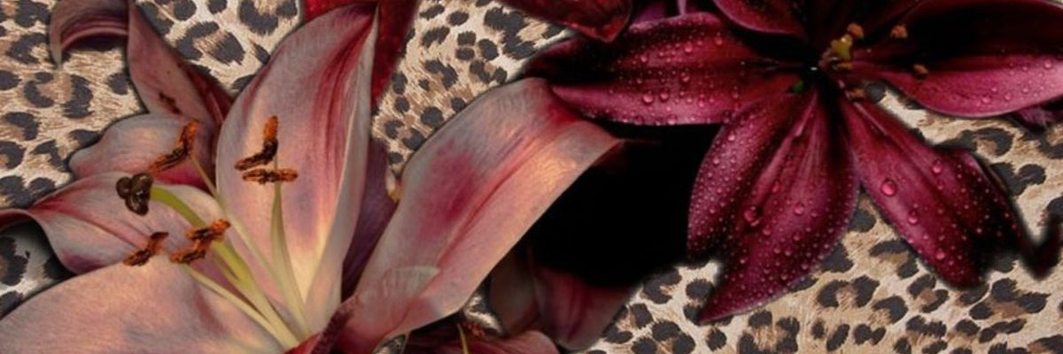 R banner