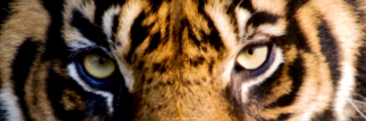 curlyshuffle's profile banner image
