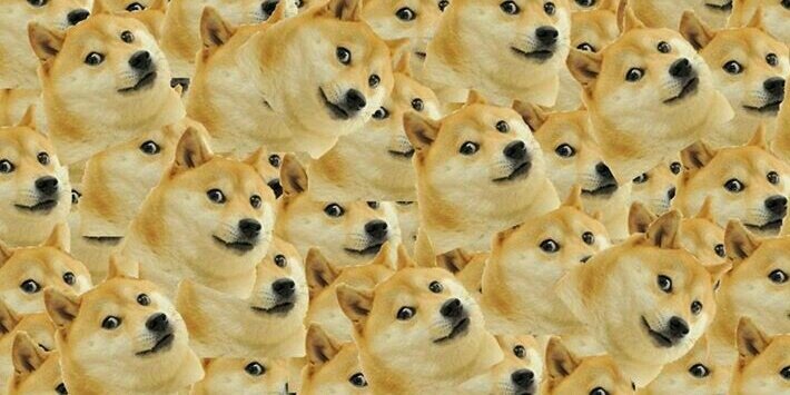ChippoChamp's profile banner image