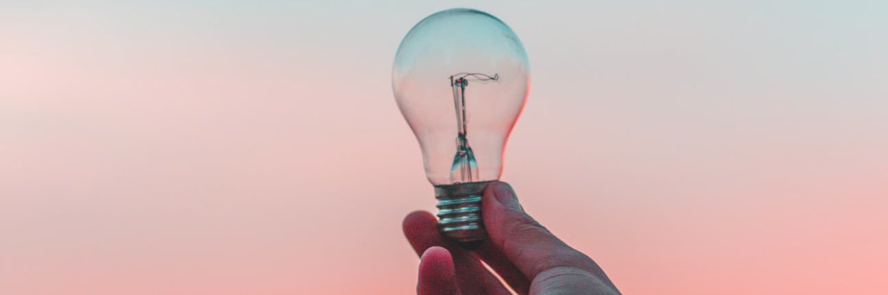 Professor Jana Bowden banner