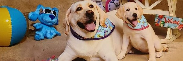 InShardsOfNight Profile Banner