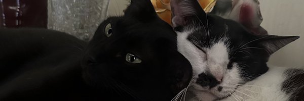 moigros Profile Banner