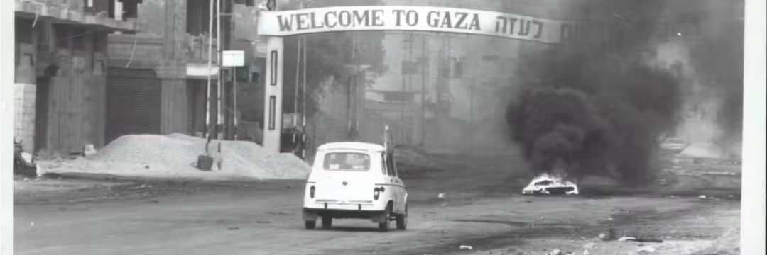 F from Gaza🇵🇸's banner