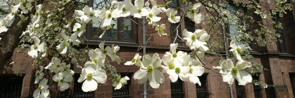 pauliecalvo Profile Banner