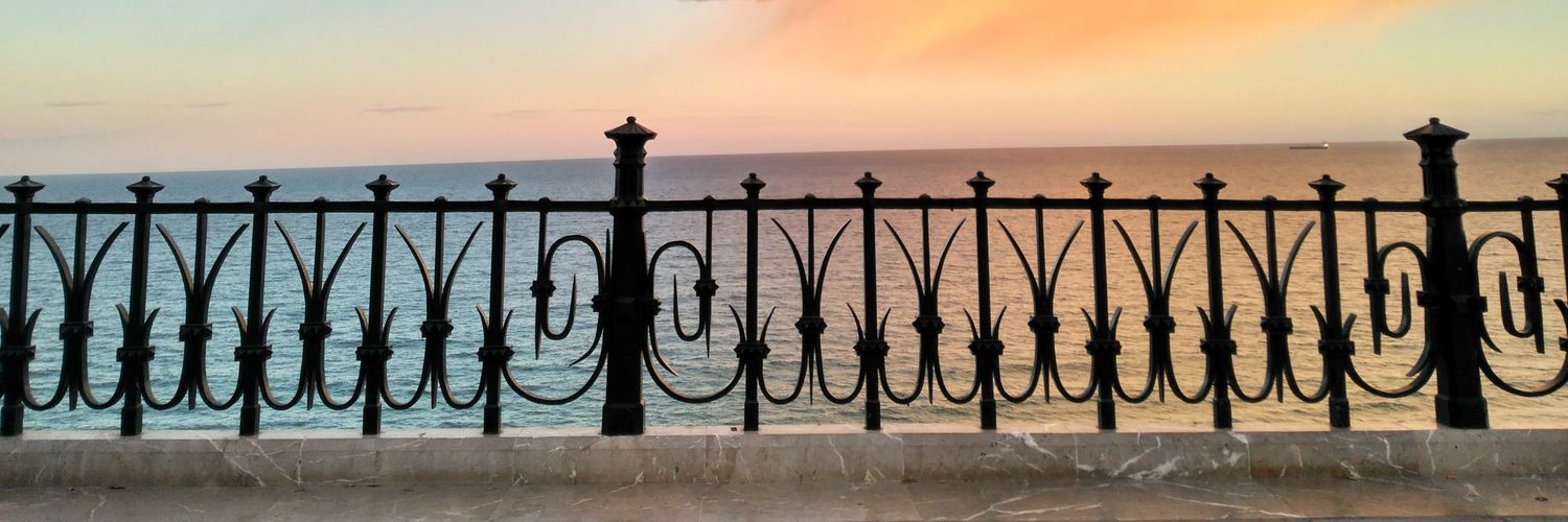 helennfp_'s profile banner image
