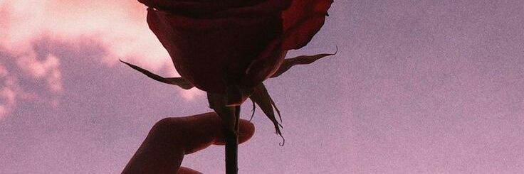 Tamitapiaa's profile banner image