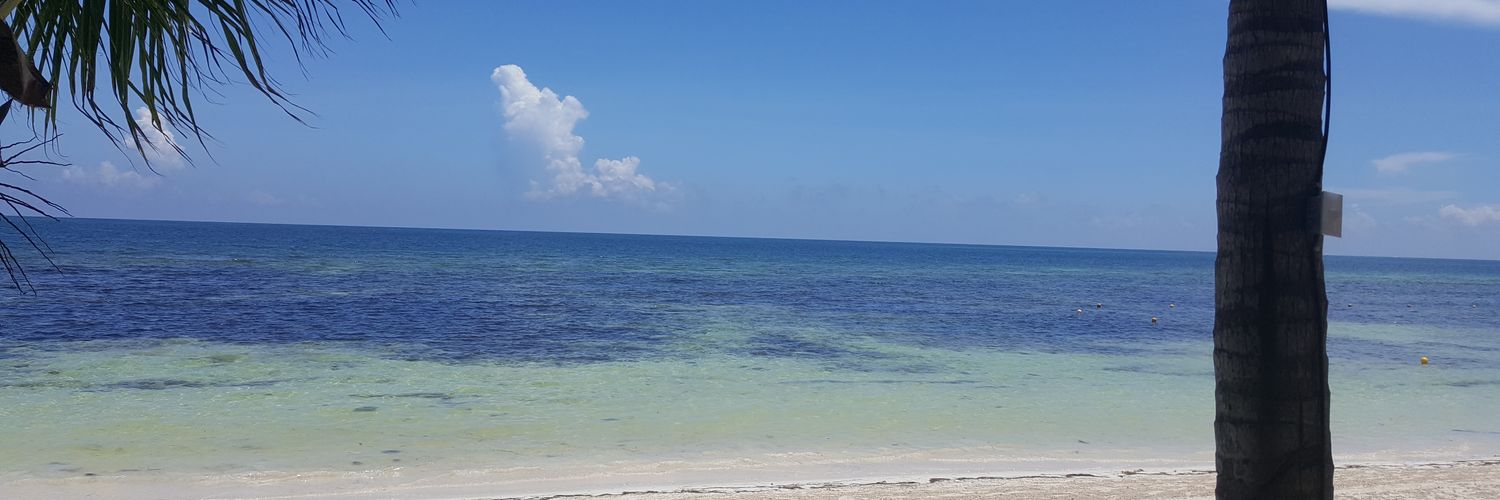 Chris Fletcher banner