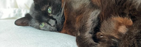 thesierramp Profile Banner