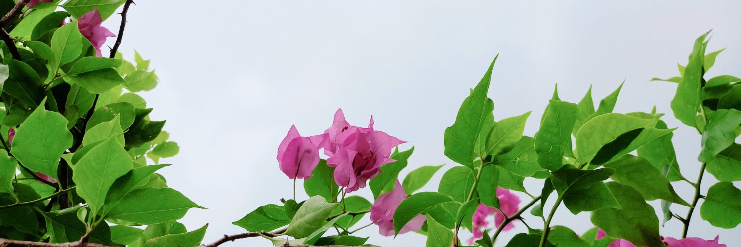 HashmatAliLiton's profile banner image