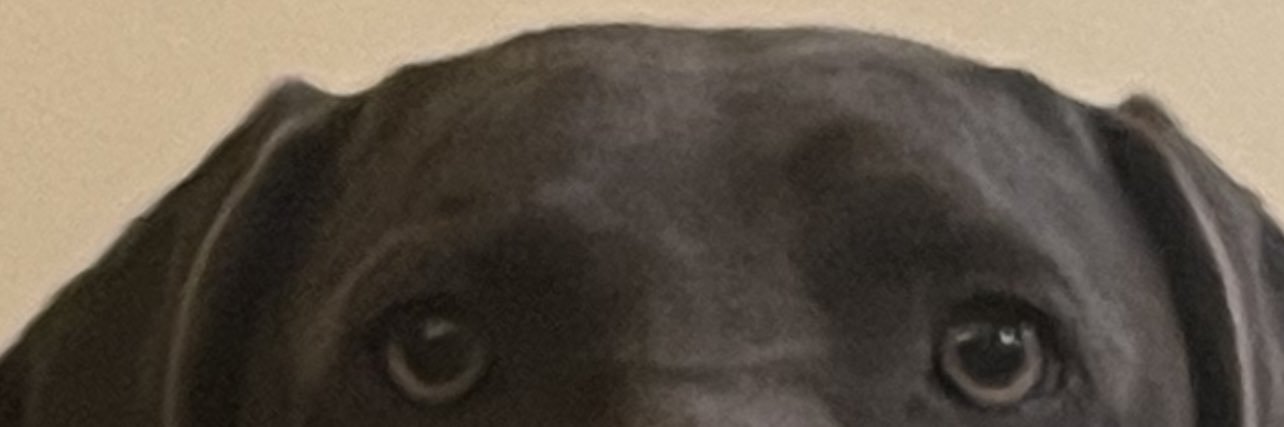 1_Mike_D's profile banner image