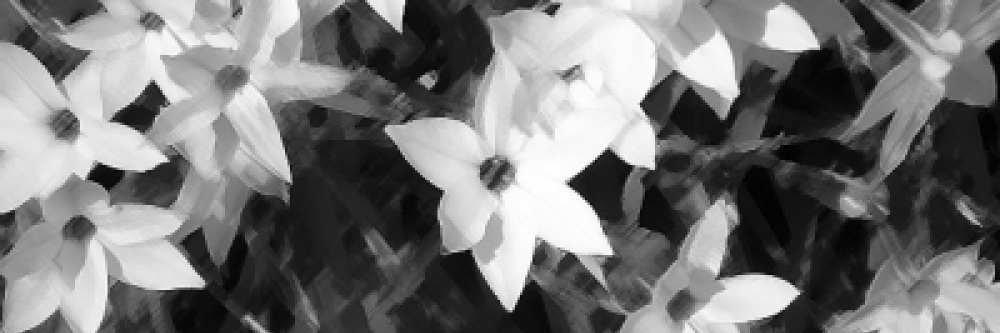 pre_laboratory's profile banner image