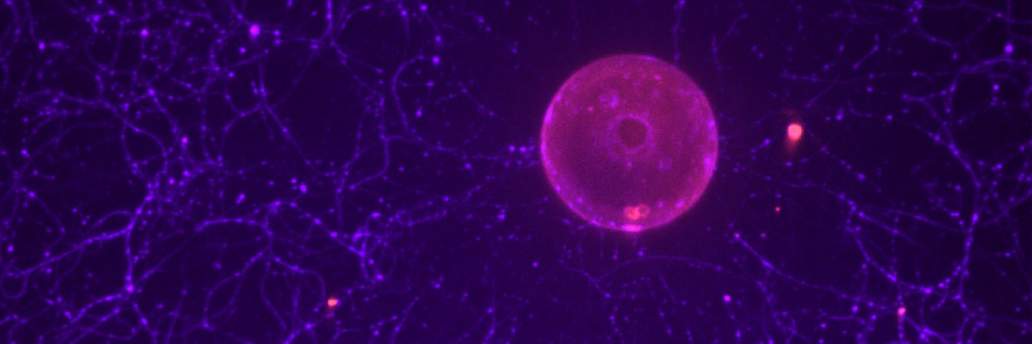 Michael Meinecke Lab banner