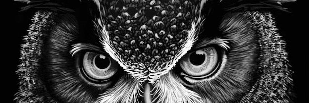 bxlaji's profile banner image