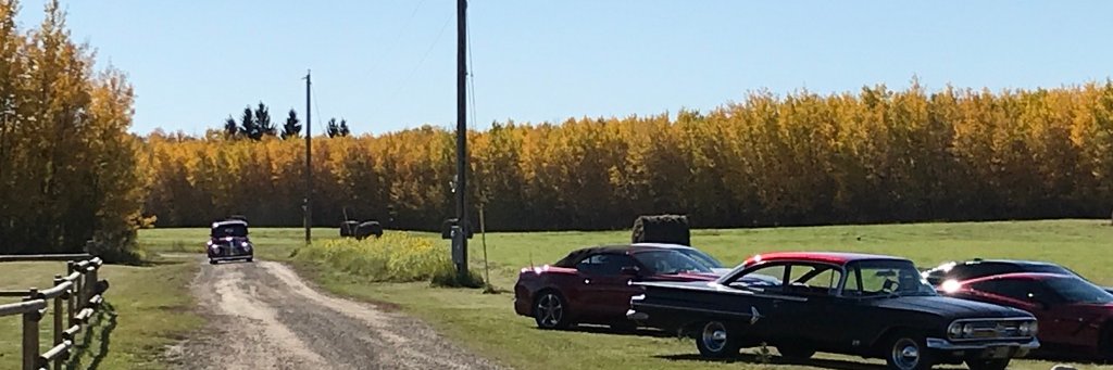 lisasmithmurphy's profile banner image
