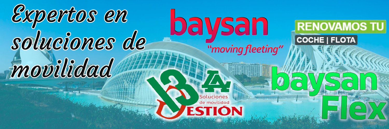 Grupo Baysan banner