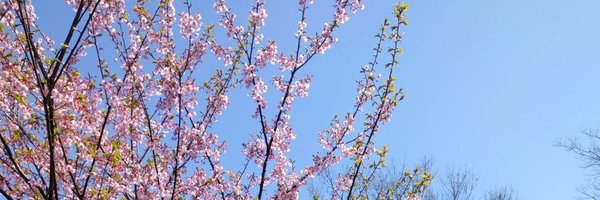 nishina_takashi Profile Banner