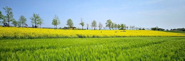 misam34 Profile Banner