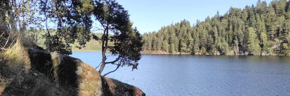 AakervikHansen's profile banner image