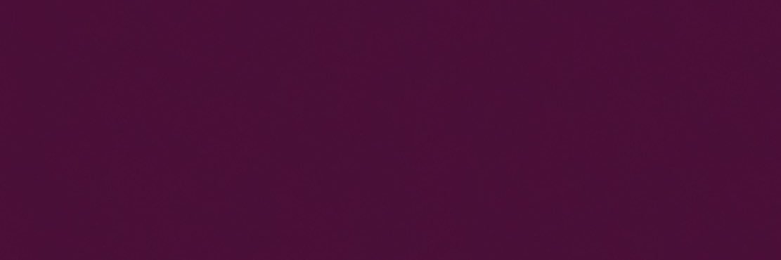 f20_si's profile banner image
