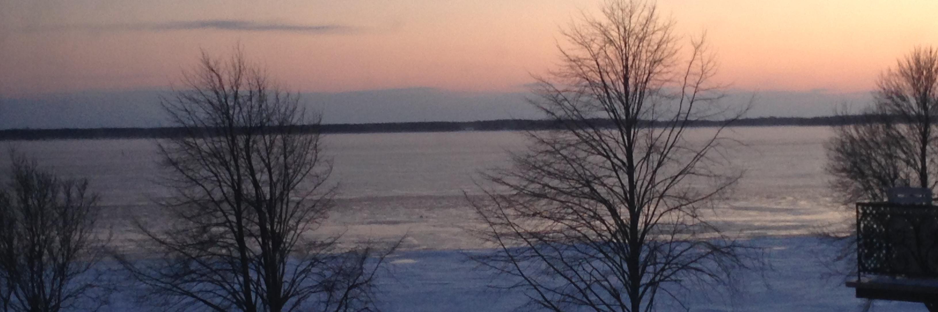 Audrey Ferron Parayre banner