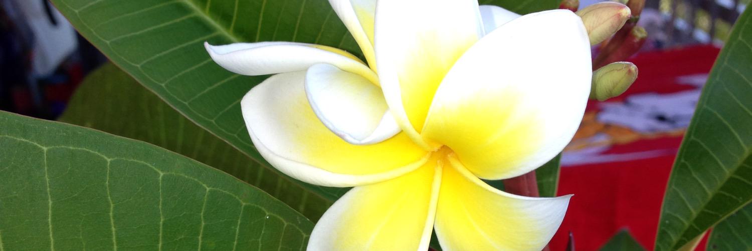AitanaGalan's profile banner image