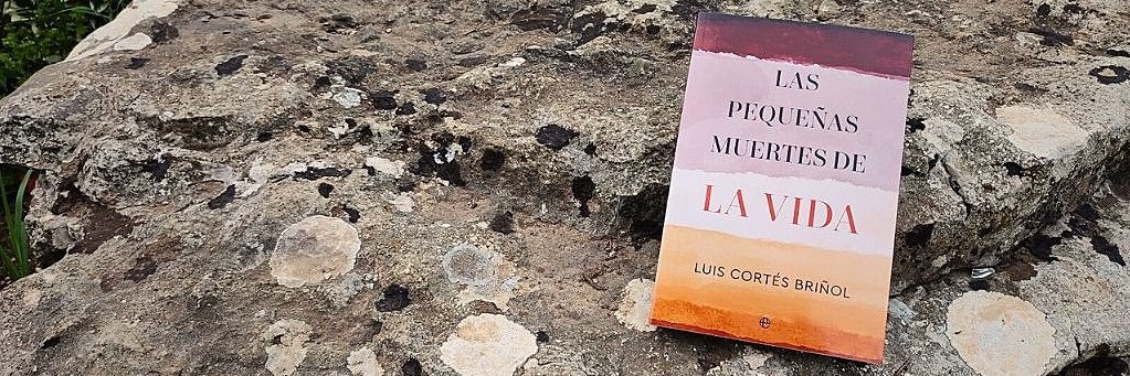 Luis Cortés Briñol banner