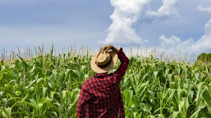 APSAagro's profile banner image