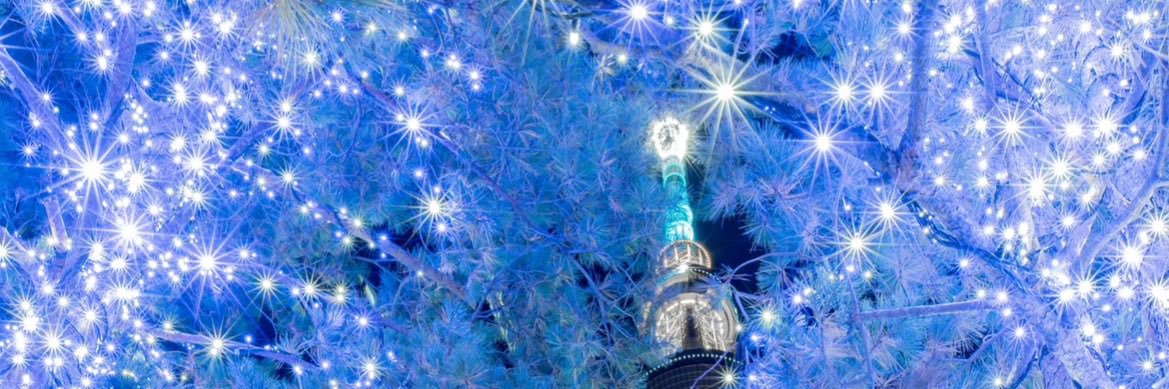 𝓝。 banner