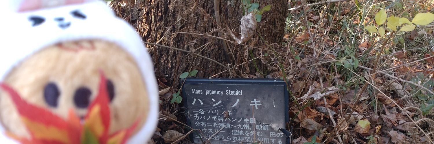🐿＊でこ＊🐿 banner