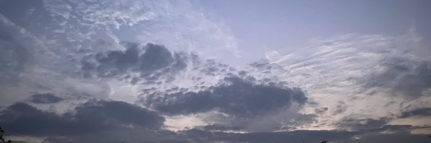 z36366583's profile banner image