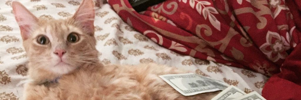 Catto (Phu Minh) banner