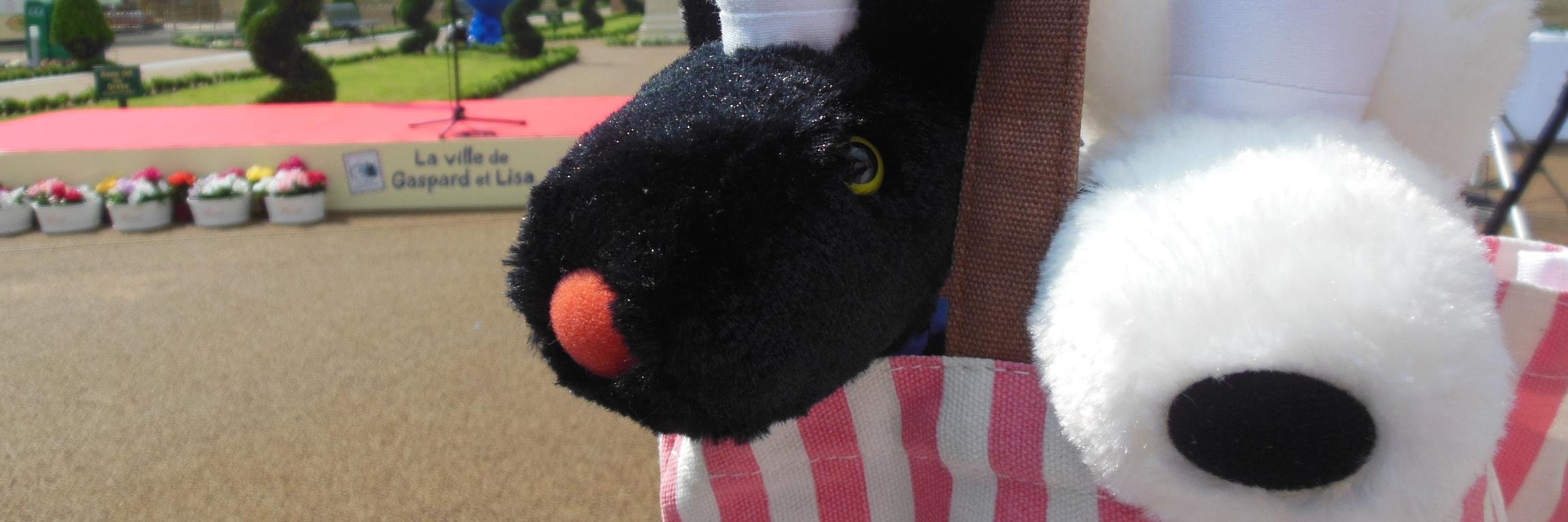 amnosh's profile banner image