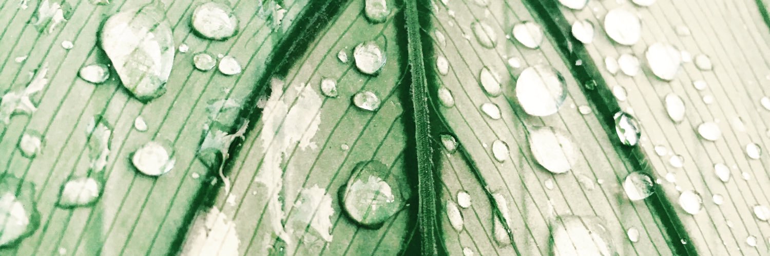 slik_kate's profile banner image