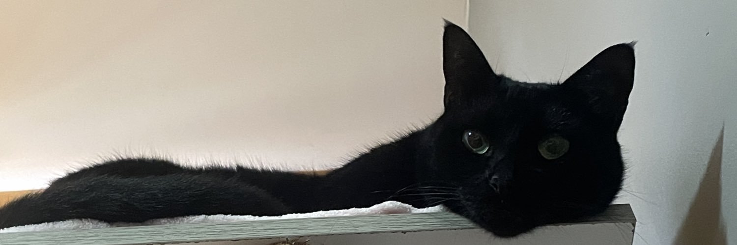katcastlee's profile banner image