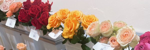 natchakofficial Profile Banner