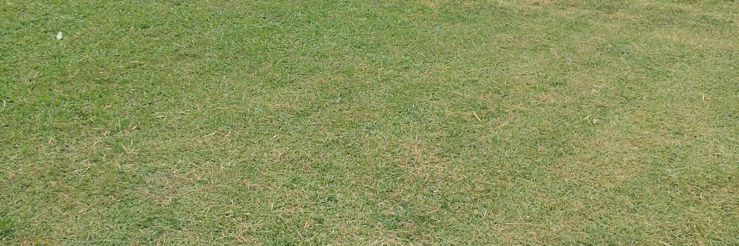 SamMulero's profile banner image