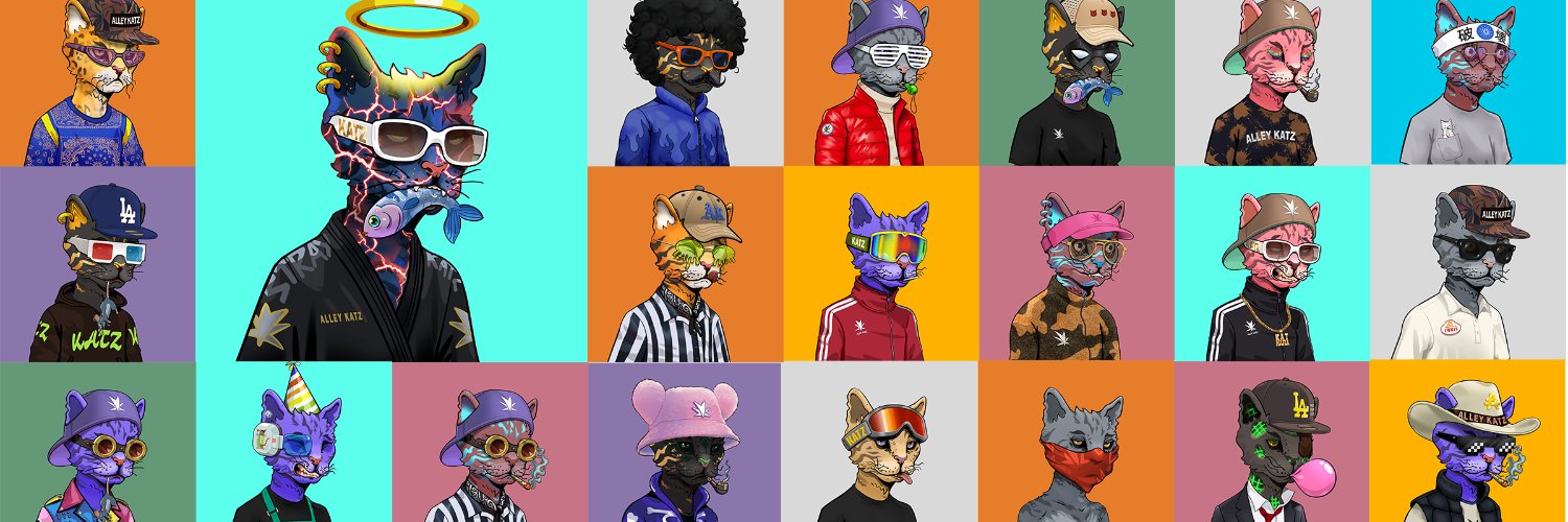goda $13th banner